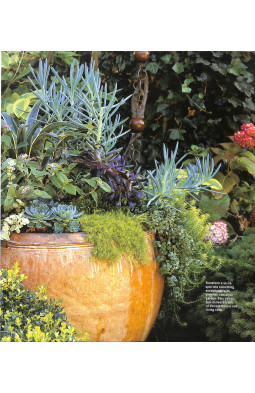 Sunset Outdoor Design & Build: Container Gardening: Fresh Ideas for Outdoor Living