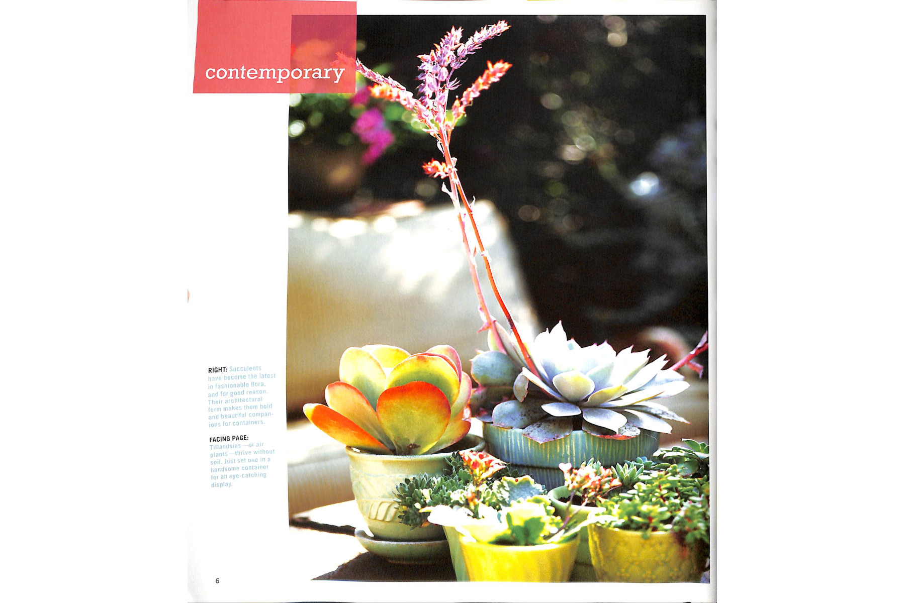 Sunset Outdoor Design & Build: Container Gardening: Fresh Ideas for Outdoor Living
