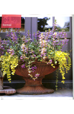 Sunset Outdoor Design & Build: Container Gardening: Fresh Ideas for Outdoor Living