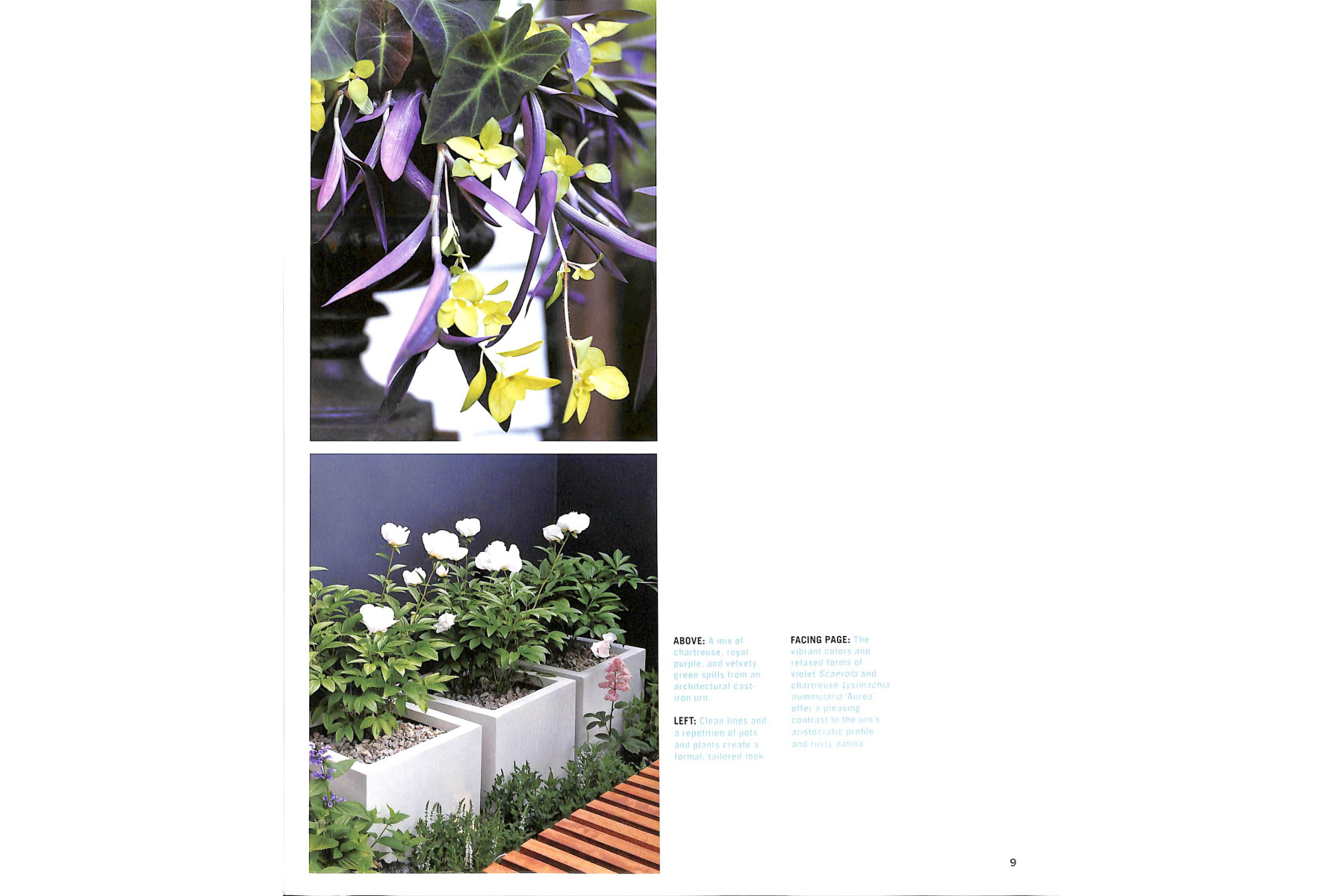 Sunset Outdoor Design & Build: Container Gardening: Fresh Ideas for Outdoor Living