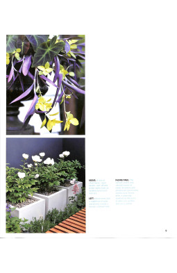 Sunset Outdoor Design & Build: Container Gardening: Fresh Ideas for Outdoor Living