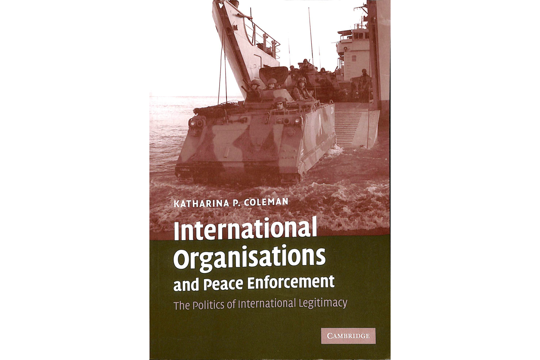 International Organisations and Peace Enforcement