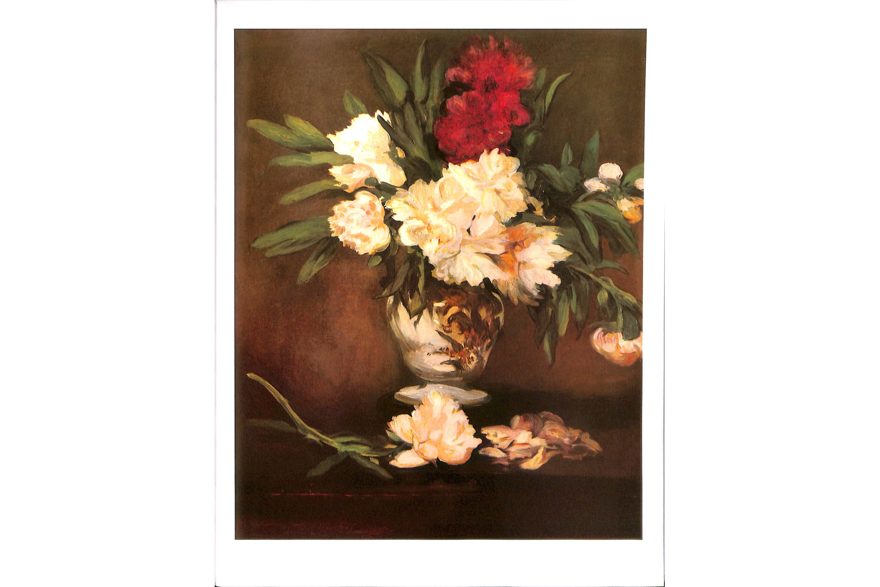 Manet - Phaidon Colour Library