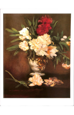 Manet - Phaidon Colour Library