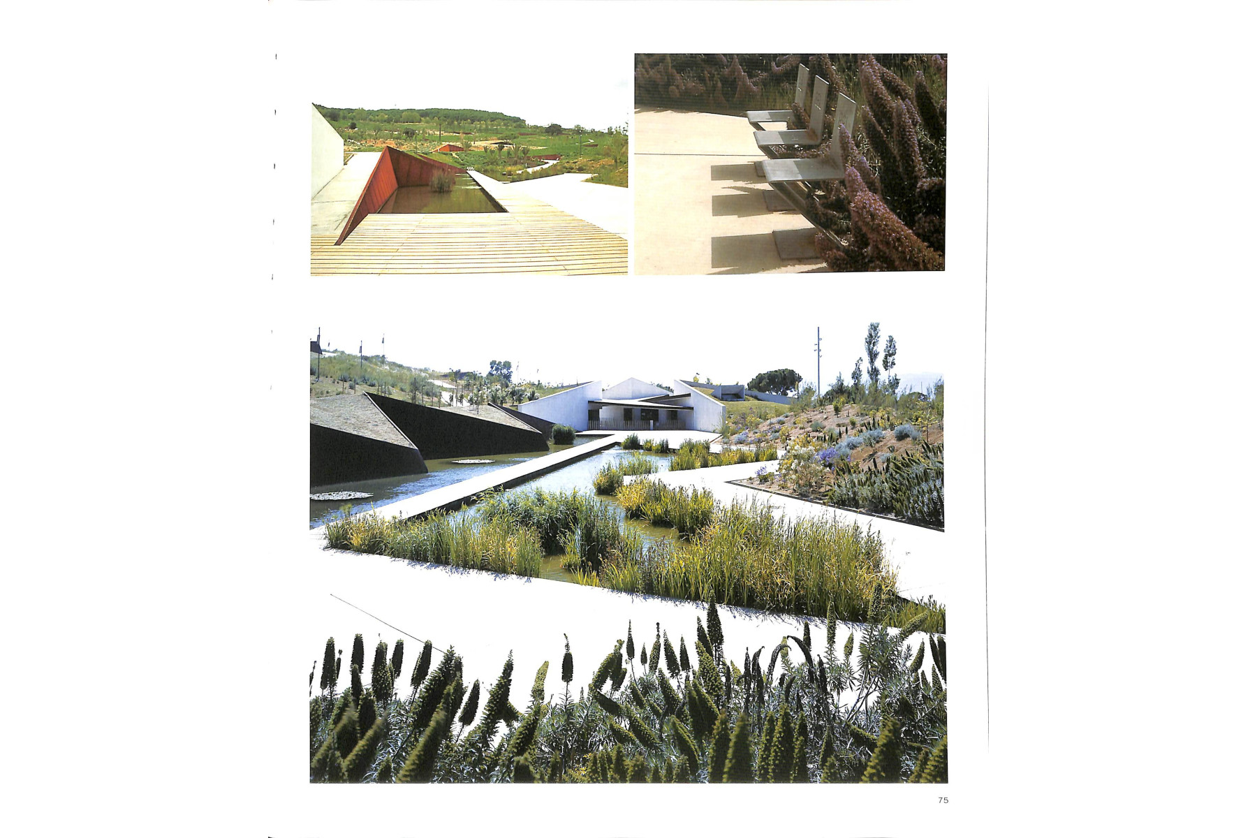 Modern Landscape