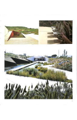 Modern Landscape