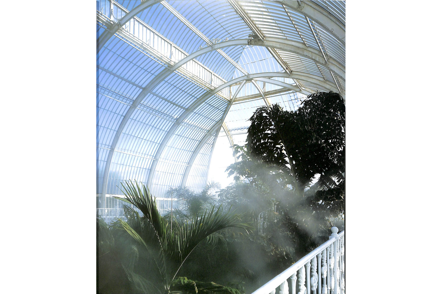 The Glasshouse