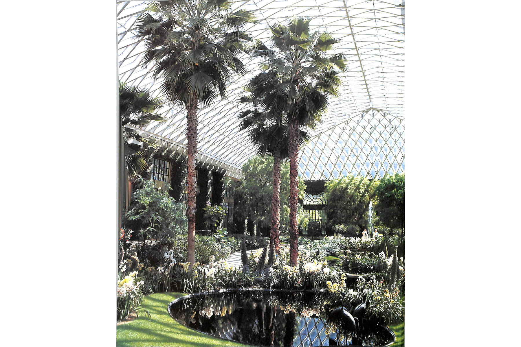 The Glasshouse