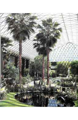 The Glasshouse