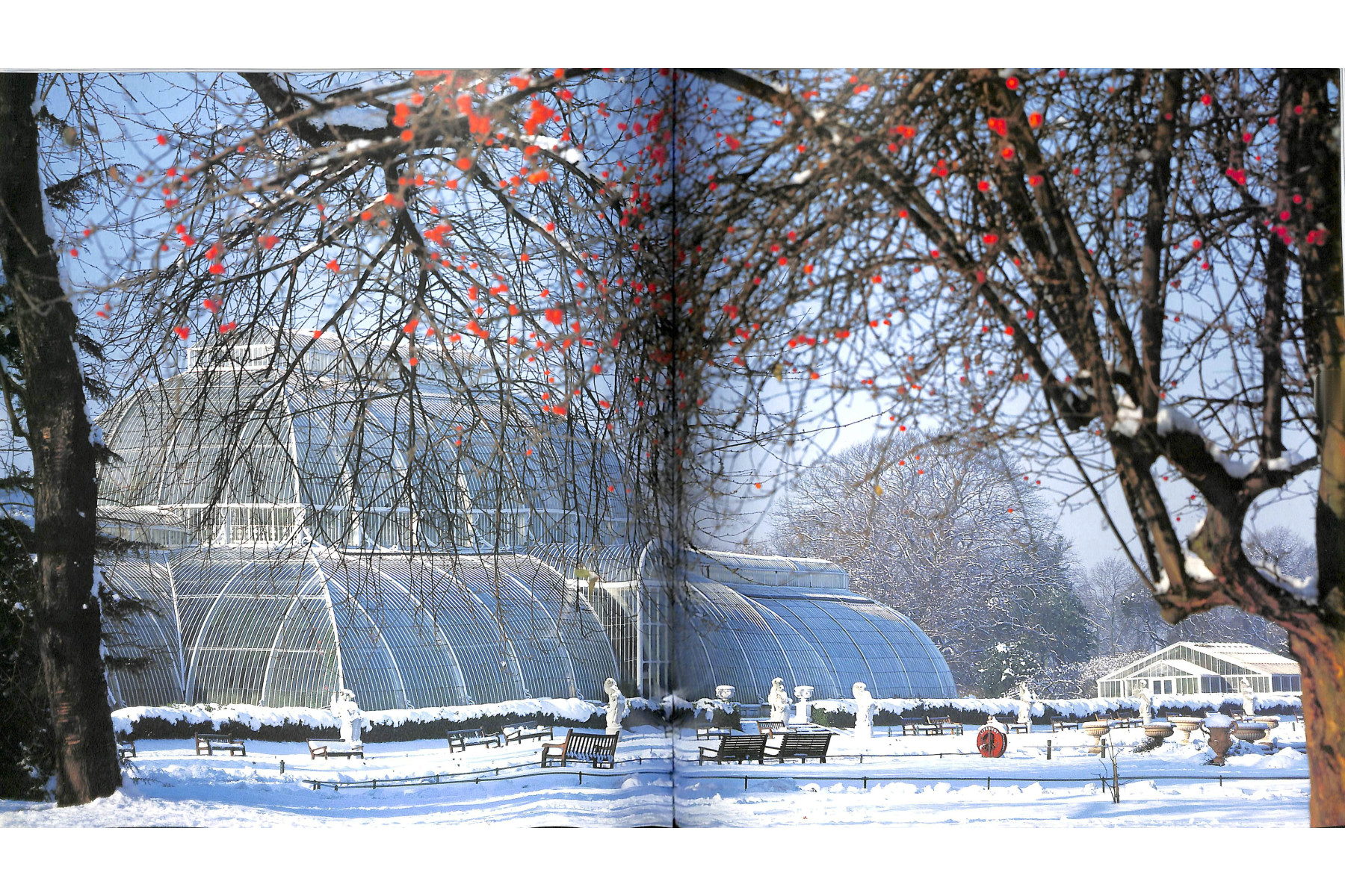 The Glasshouse