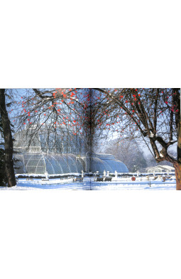 The Glasshouse