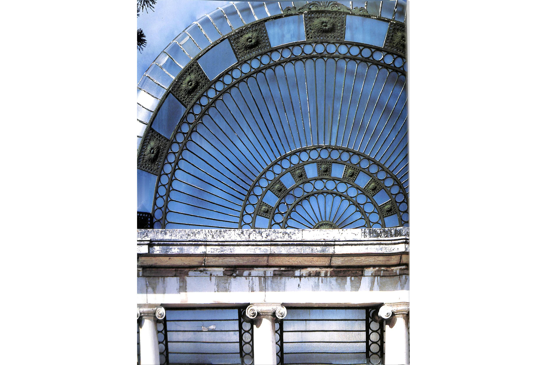 The Glasshouse