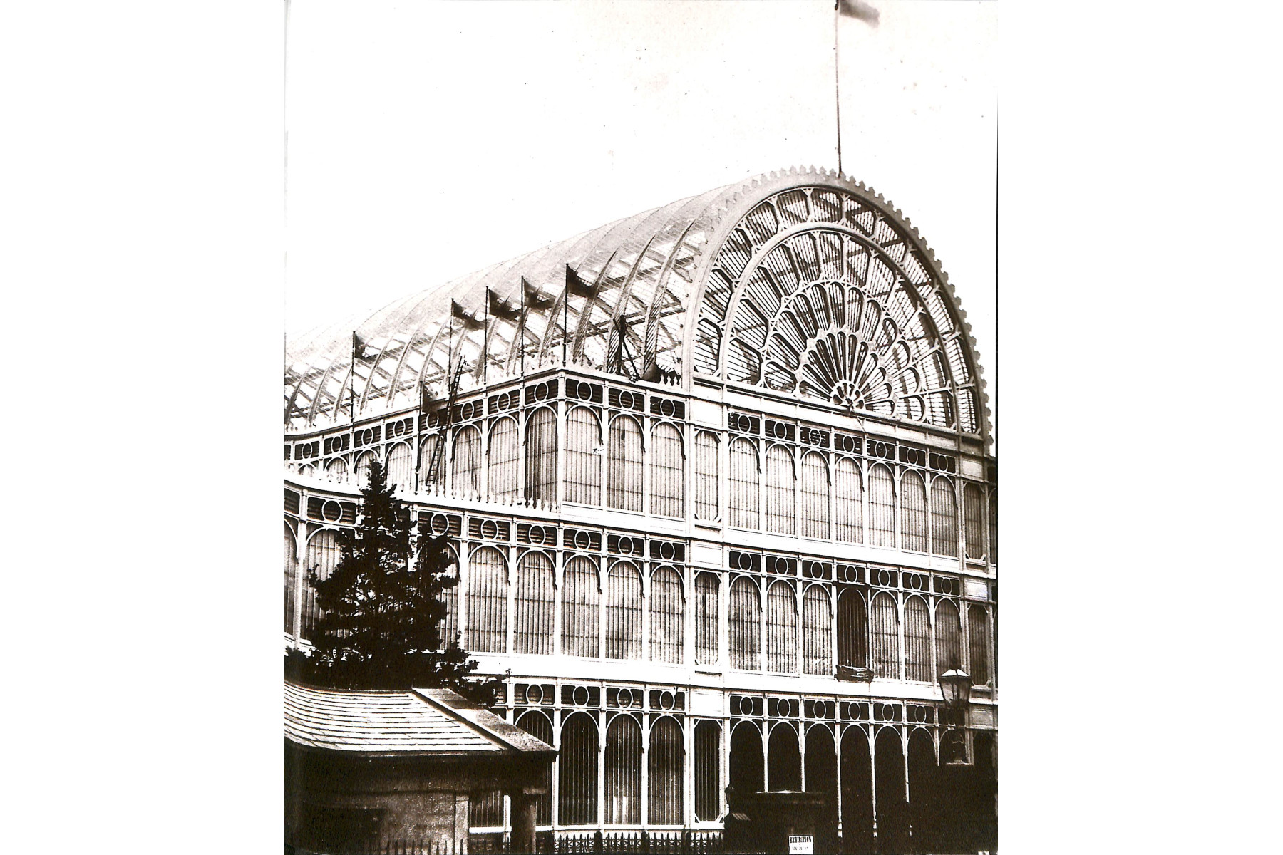 The Glasshouse