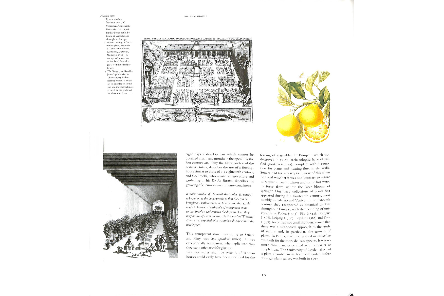The Glasshouse