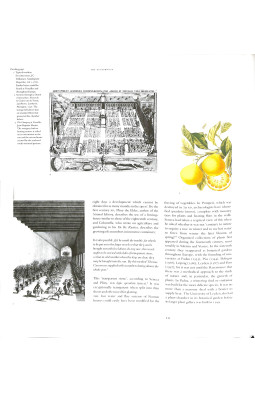 The Glasshouse