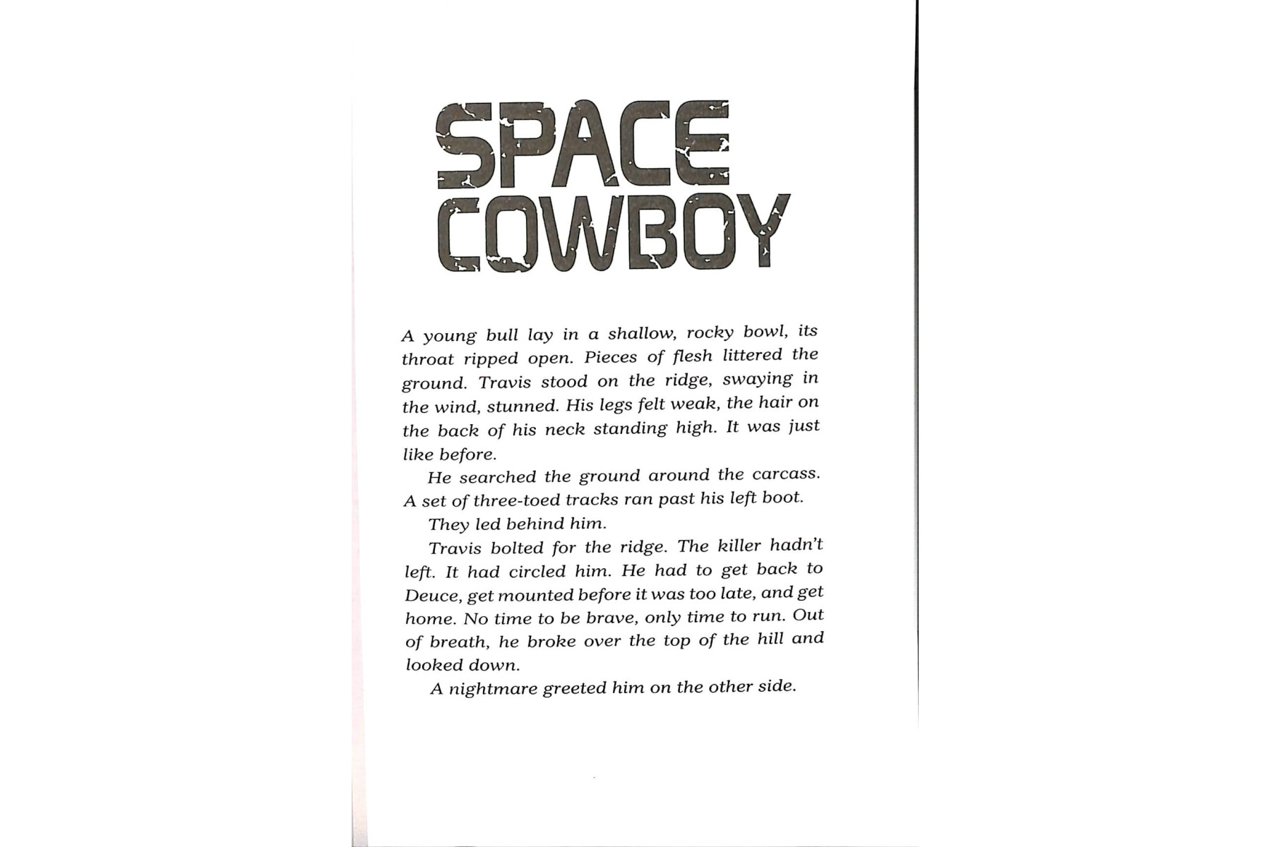 Space Cowboy