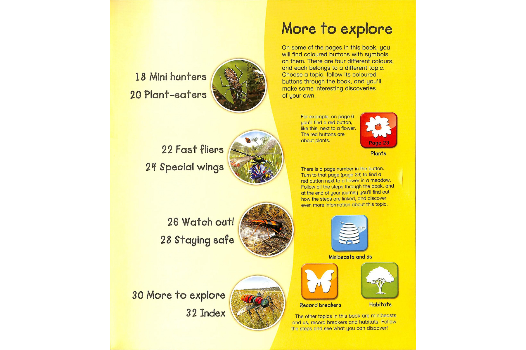 Explorers: Insects and Minibeasts