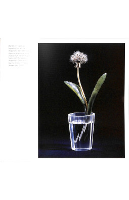 Faberge Flowers