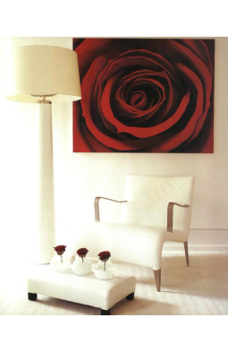 Kelly Hoppen Style: US edition
