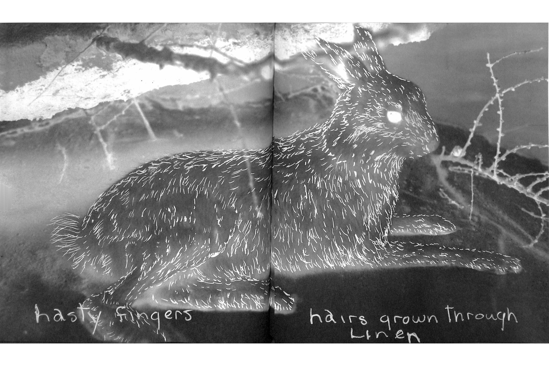 Kiki Smith: Prints, Books and Things