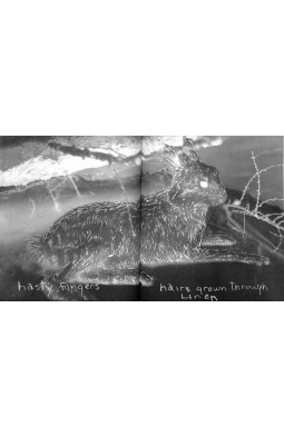 Kiki Smith: Prints, Books and Things