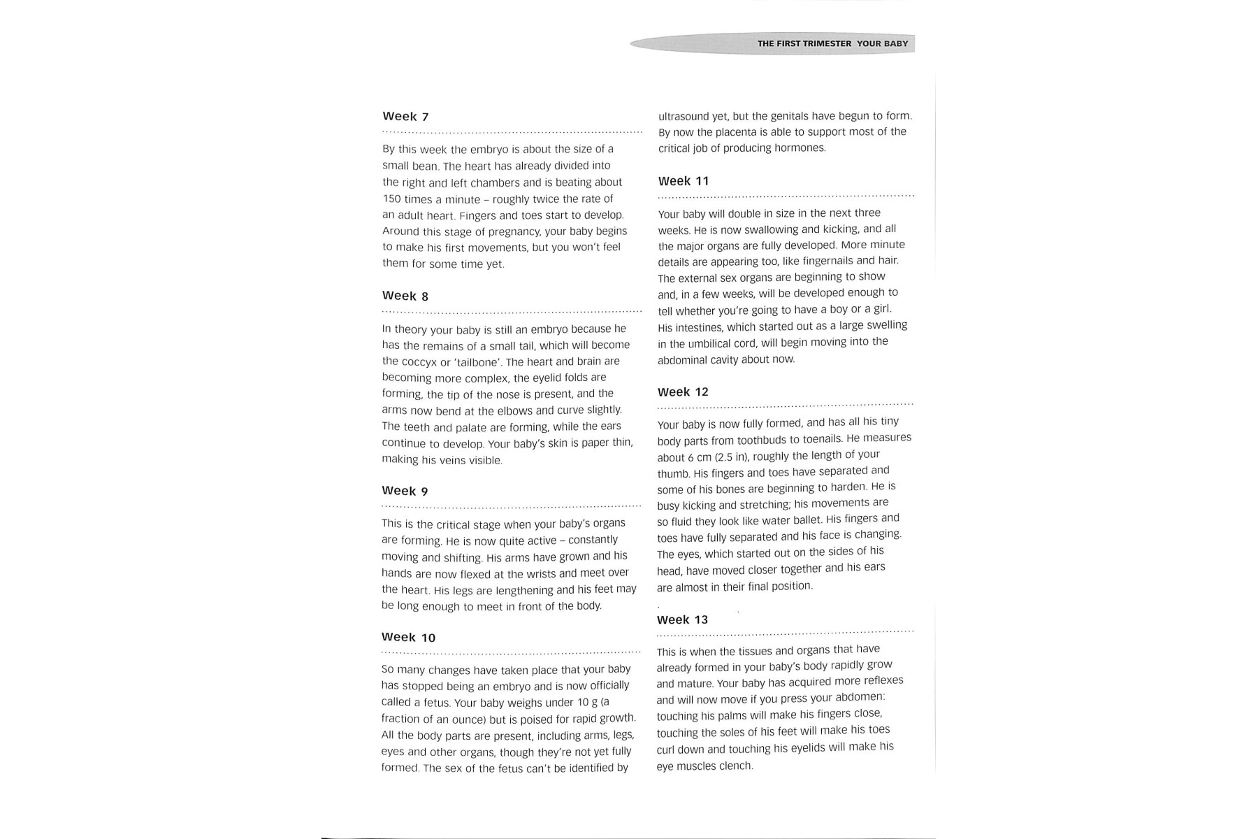 Pregnancy Questions and Answers: Everything You Need to Know, Trimester by Trimeste
