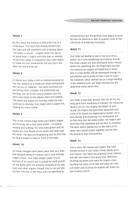 Pregnancy Questions and Answers: Everything You Need to Know, Trimester by Trimeste