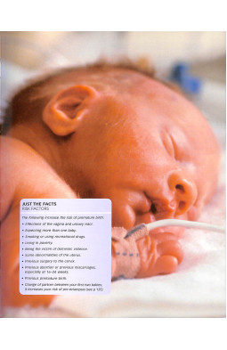Pregnancy Questions and Answers: Everything You Need to Know, Trimester by Trimeste