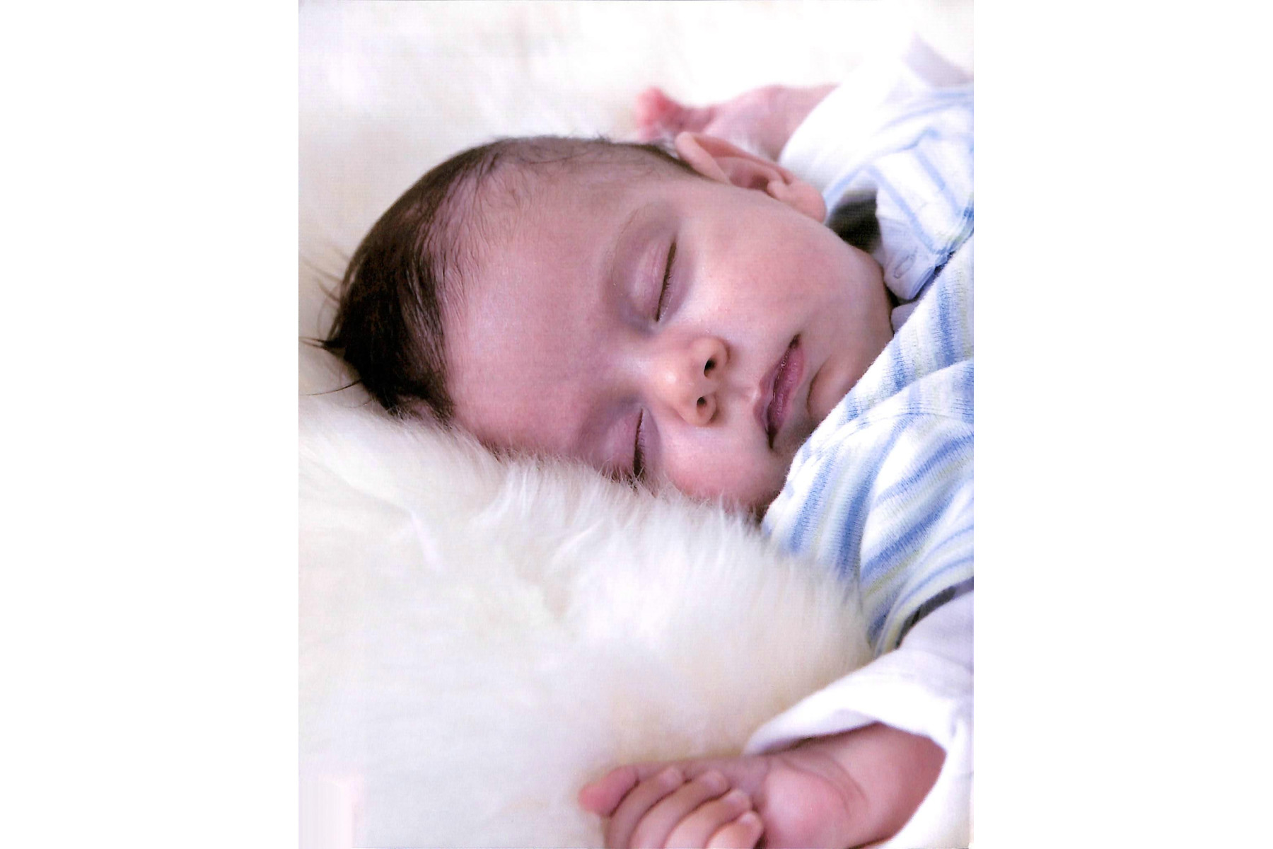 Pregnancy Questions and Answers: Everything You Need to Know, Trimester by Trimeste