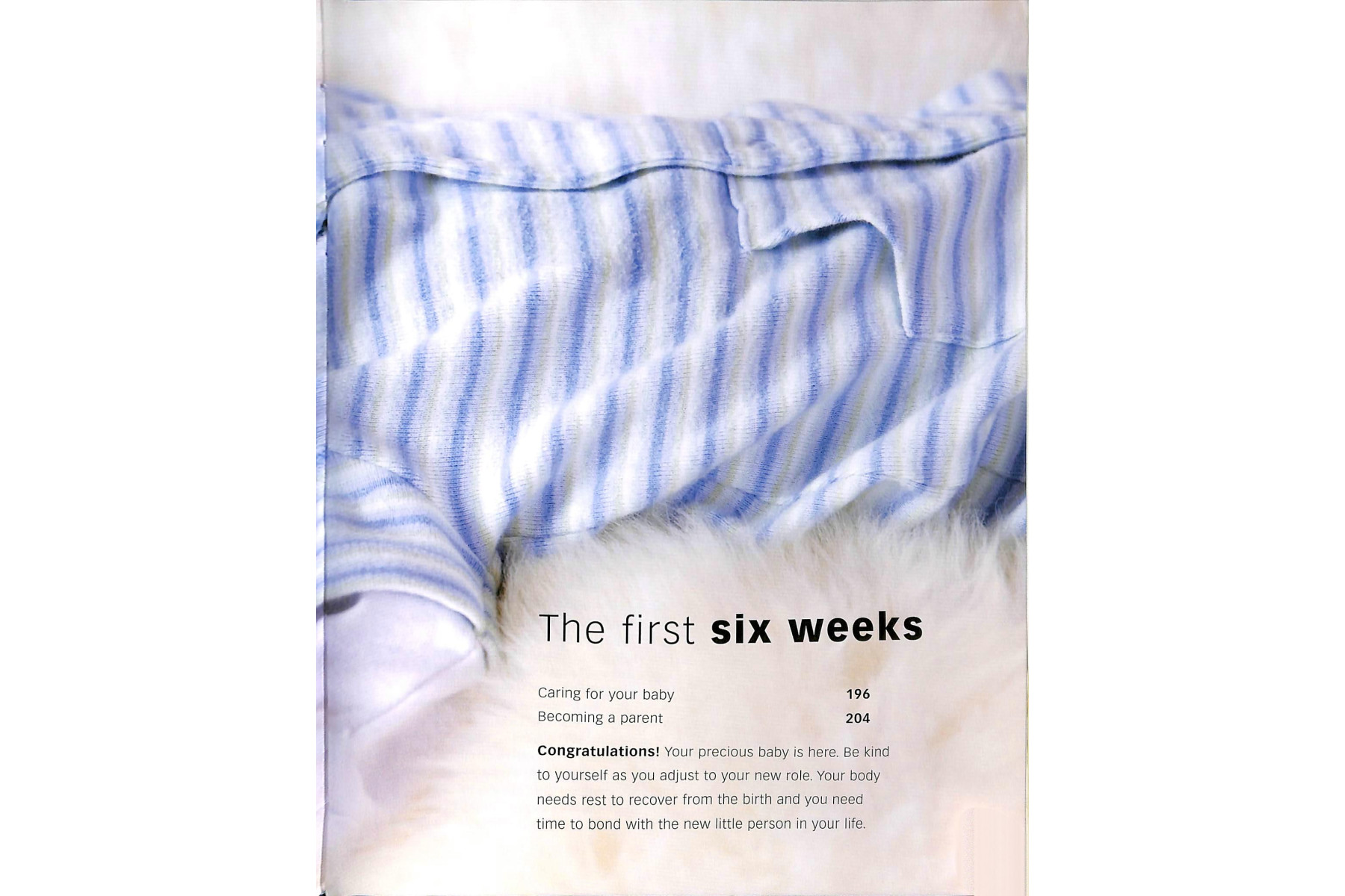 Pregnancy Questions and Answers: Everything You Need to Know, Trimester by Trimeste