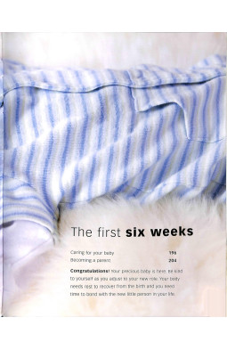 Pregnancy Questions and Answers: Everything You Need to Know, Trimester by Trimeste