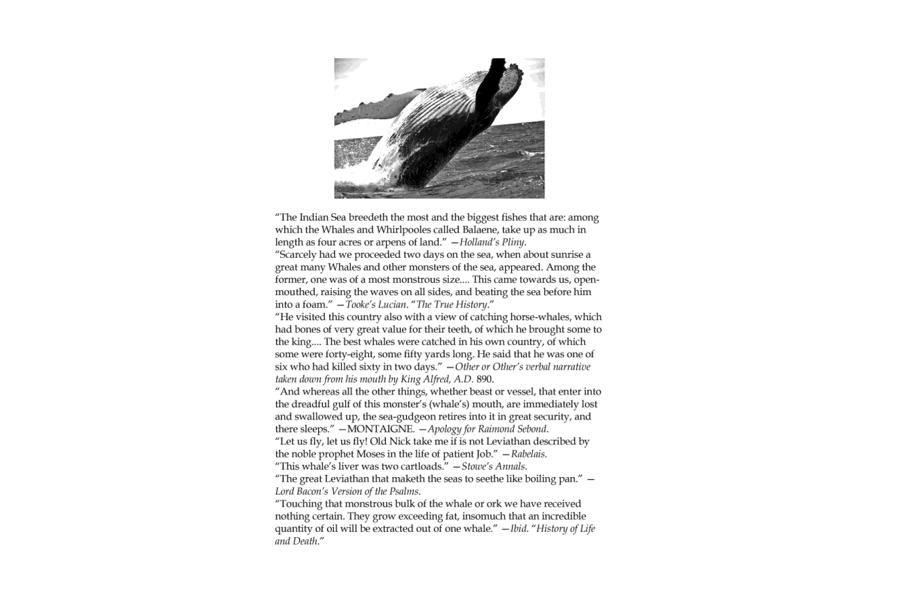 PR 2: Moby Dick