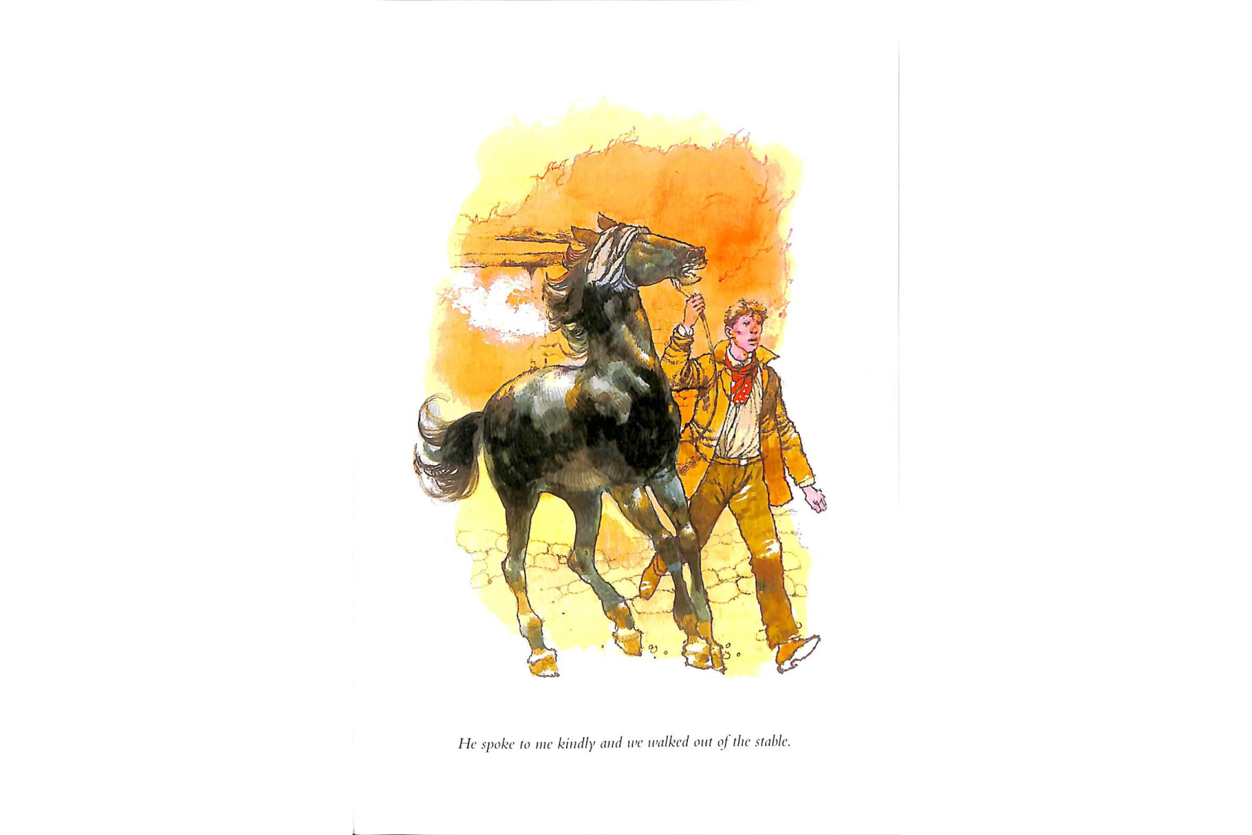 PR 2: Black Beauty Book and  MP3 Pack