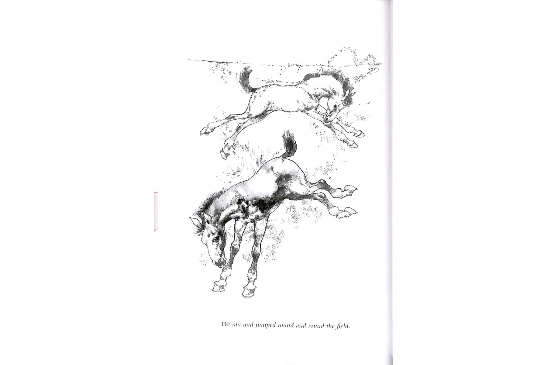 PR 2: Black Beauty Book and  MP3 Pack