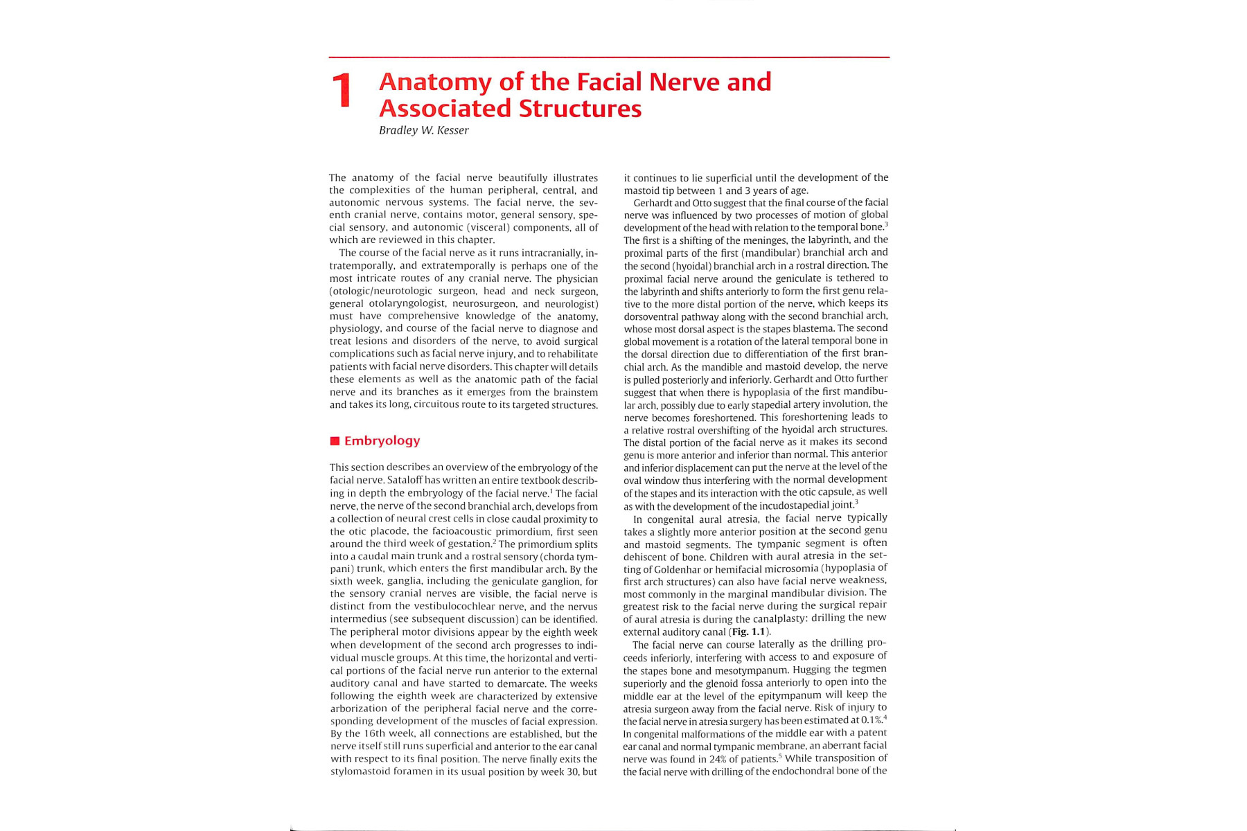 The Facial Nerve