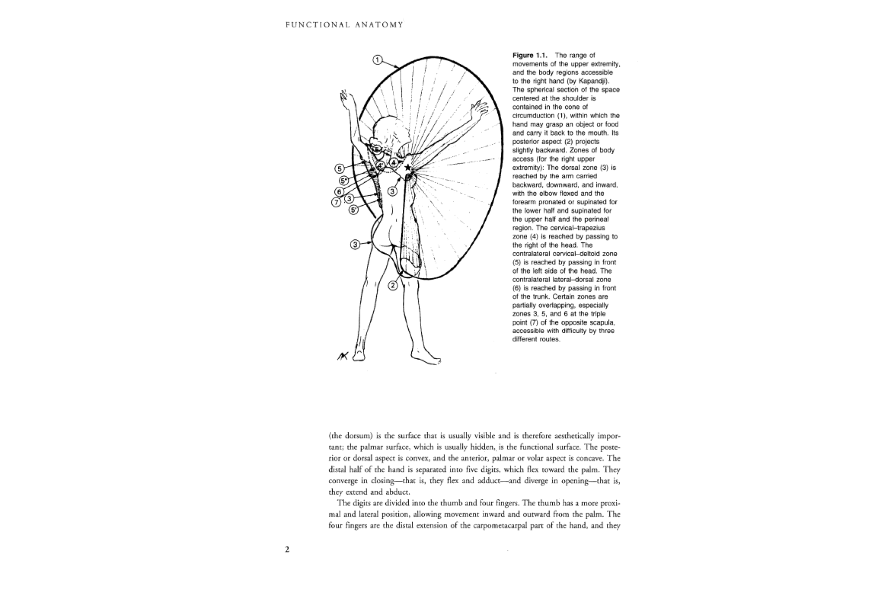 Examination of the Hand and Wrist