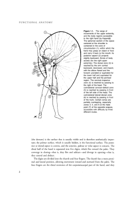 Examination of the Hand and Wrist