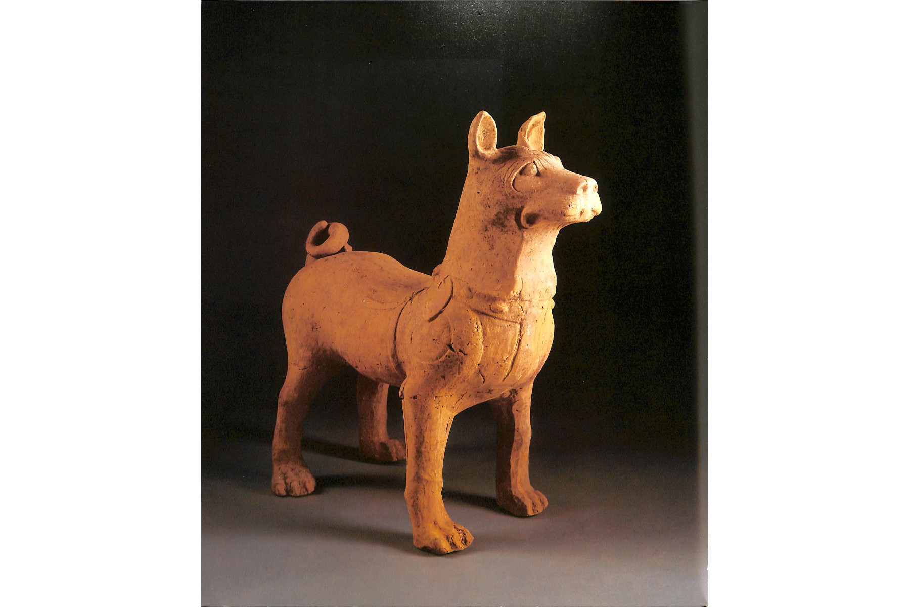 Mysterious Spirits, Strange Beasts, Earthly Delights