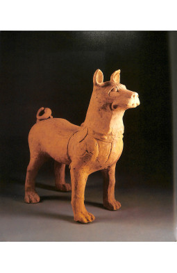 Mysterious Spirits, Strange Beasts, Earthly Delights