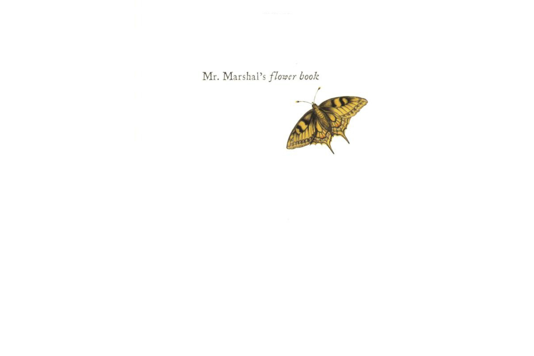 Mr Marshal's Flower Book: Being a Compendium of the Flower Portraits of Alexander Marshal Esq