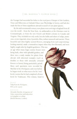 Mr Marshal's Flower Book: Being a Compendium of the Flower Portraits of Alexander Marshal Esq