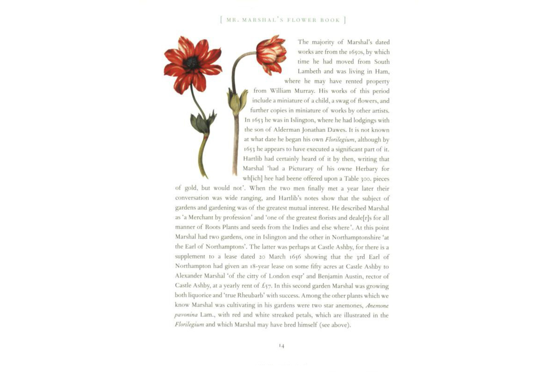 Mr Marshal's Flower Book: Being a Compendium of the Flower Portraits of Alexander Marshal Esq