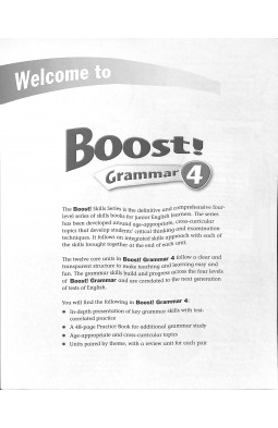 Boost! Grammar: Teacher's Book Level 4